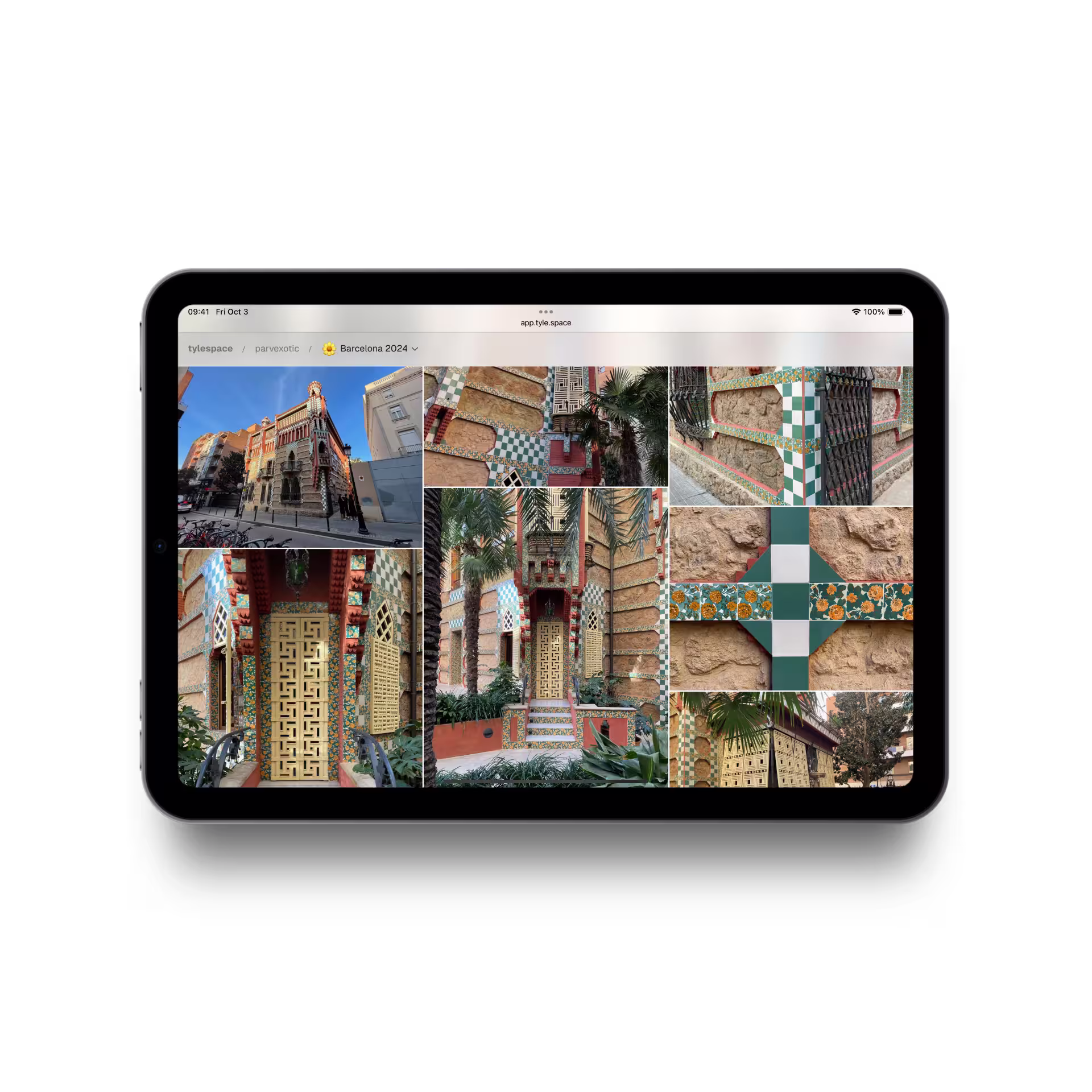 Example of online gallery on an iPad